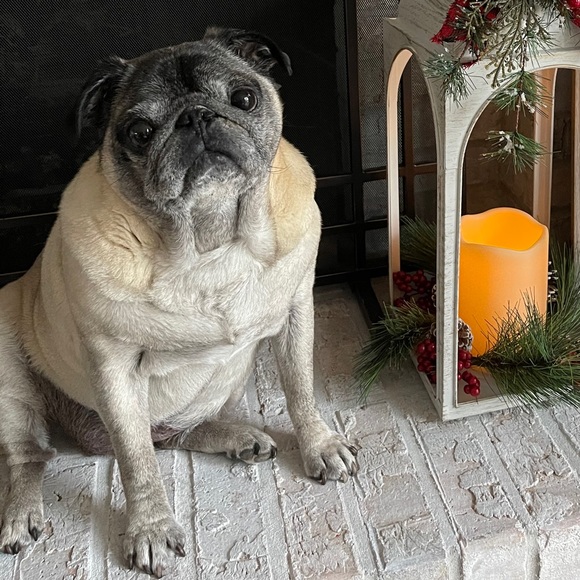 Meet your Posher, Shannon - Picture 1 of 1